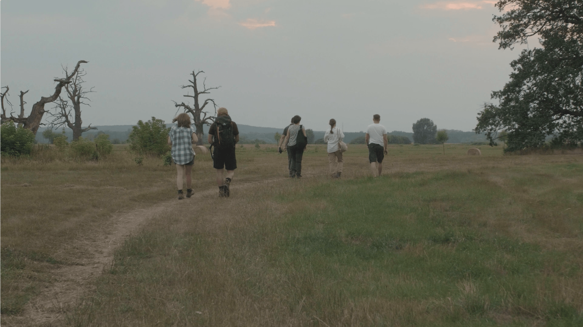 people walking in the field