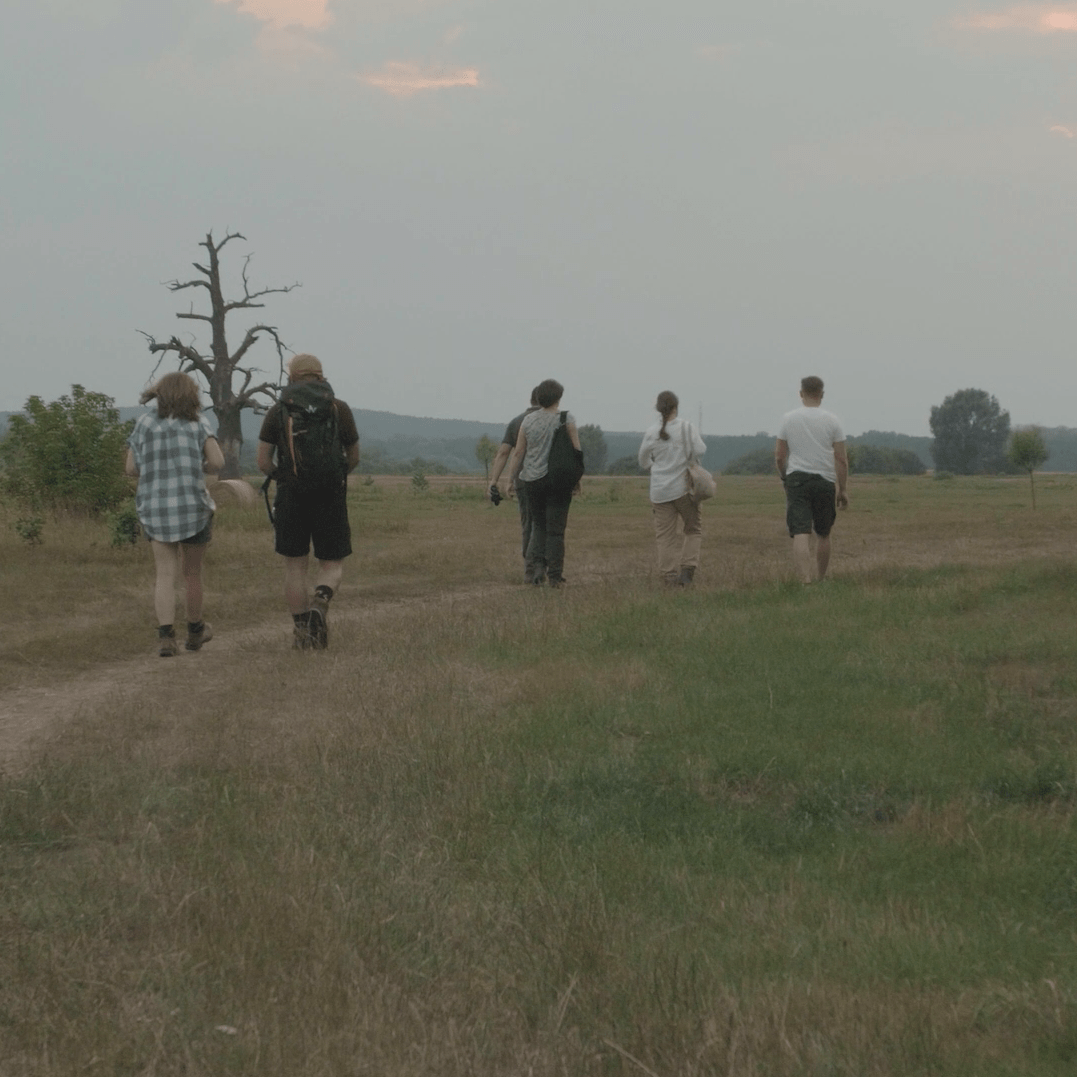 people walking in the field